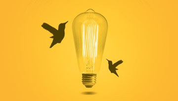 GO BEYOND 2019. Annunciati i vincitori della terza edizione, alla presenza del Ministro per l’Innovazione Paola Pisano.